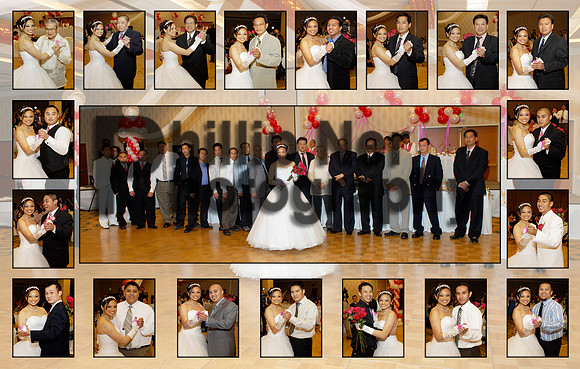 vnesa810