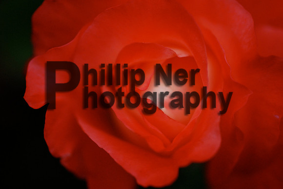 PNP_0057