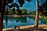 PARK-19