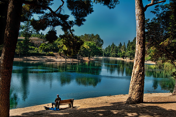 PARK-19