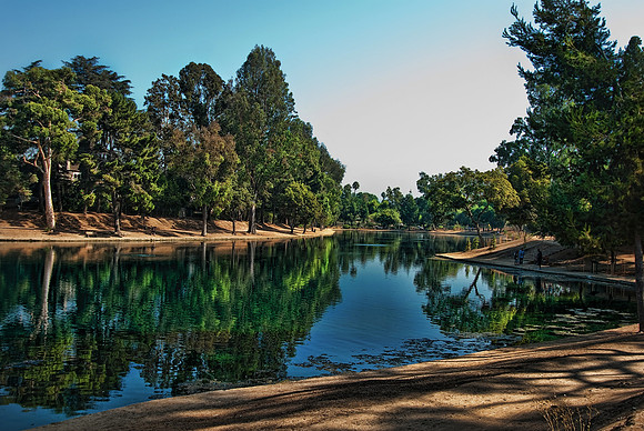 PARK-8