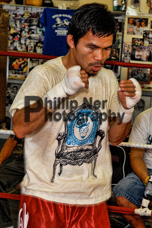 pacman207