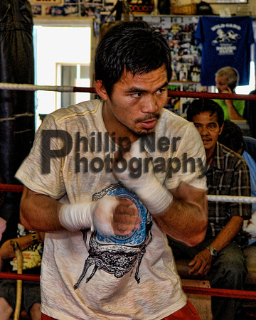 pacman215