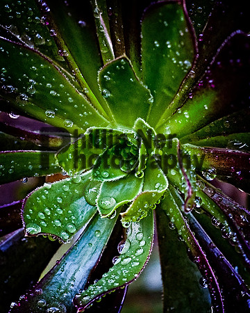 GREEN-114