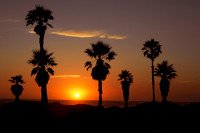 OXNARD, CA