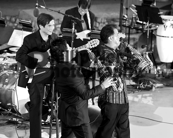 jazz-569