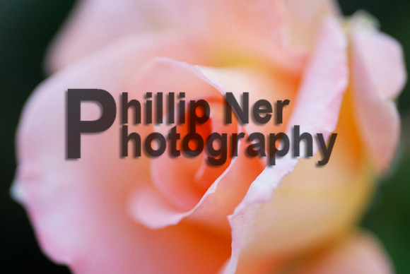 MACRO006