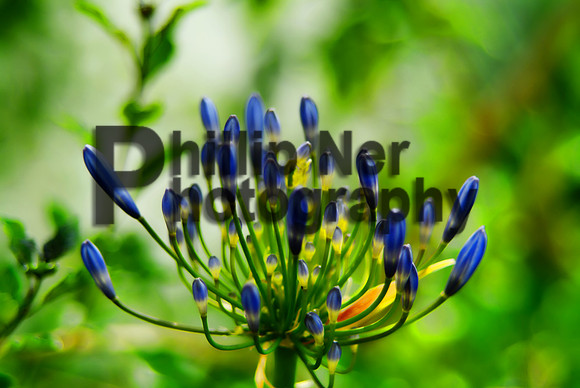 DSCF0016