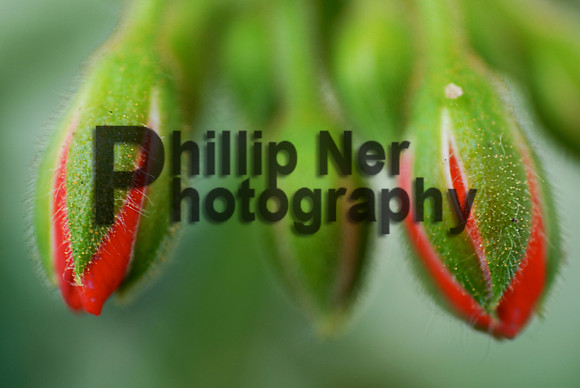 MACRO112
